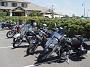 harrigans 046